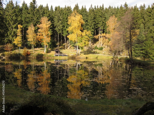 Reichenbachteich bei Katzhütte