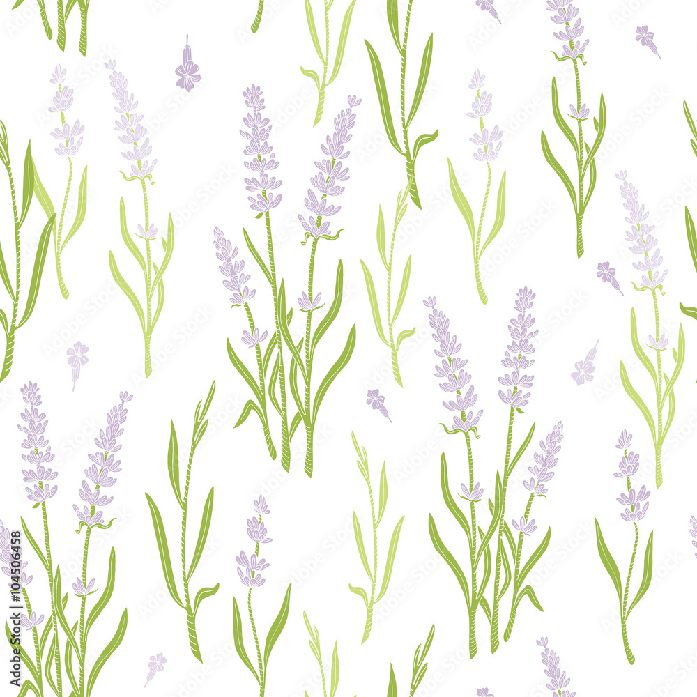 Gentle floral pattern with branches of lavender. Vector herbal background of lavender fields. Gentle floral pattern with branches of lavender. Vector herbal background of lavender fields.