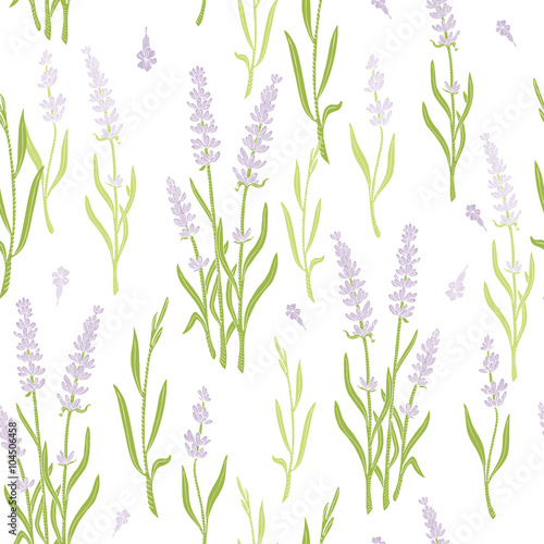 Gentle floral pattern with branches of lavender. Vector herbal background of lavender fields.