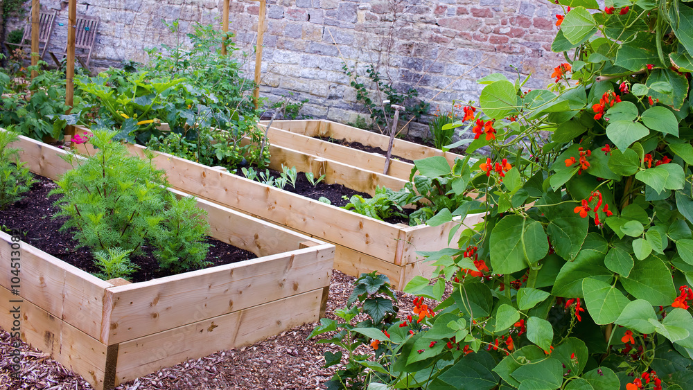 Rustic Country Vegetable & Flower Garden with Raised Beds Stock Photo |  Adobe Stock