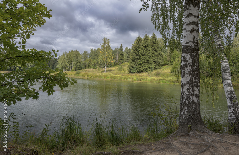Fototapeta premium Cloudy autumn landscape