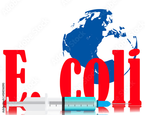 E. coli bacterium