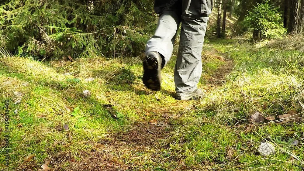 Man walking on mossy forest path. Outdoor activity concept. Summer hiking in wilderness area. Closeup of legs in hiking boots. Man walking on mossy forest path. Outdoor activity concept. Summer hiking in wilderness area. Closeup of legs in hiking boots.