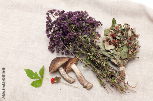 Dried herbs and mushrooms photo