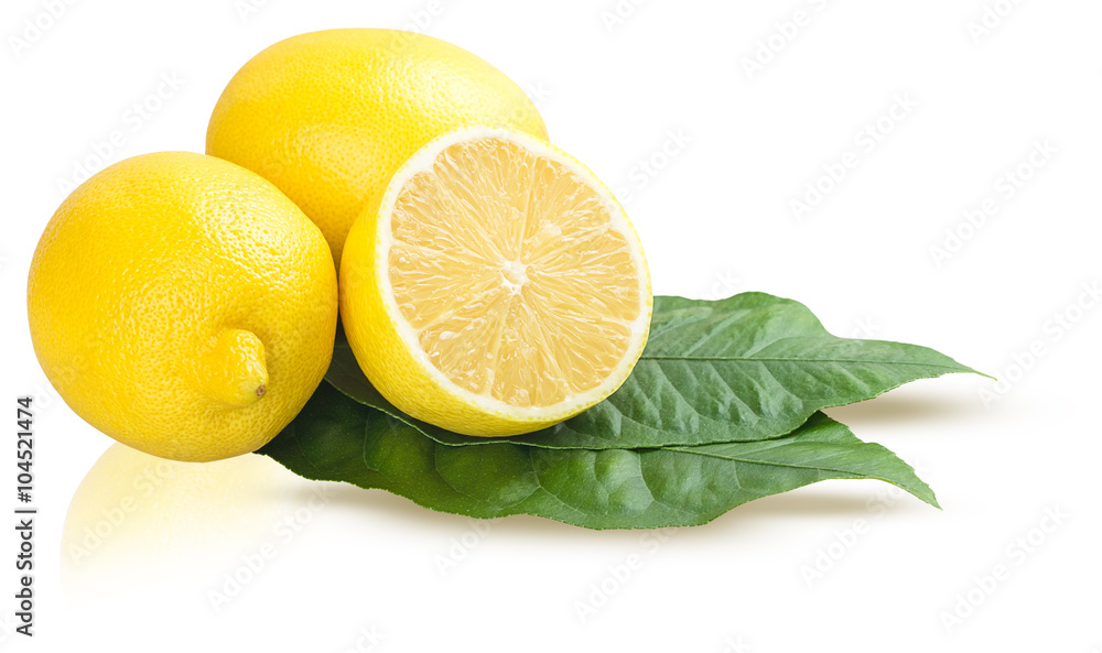 Lemon fruits with leave Lemon fruits with leave