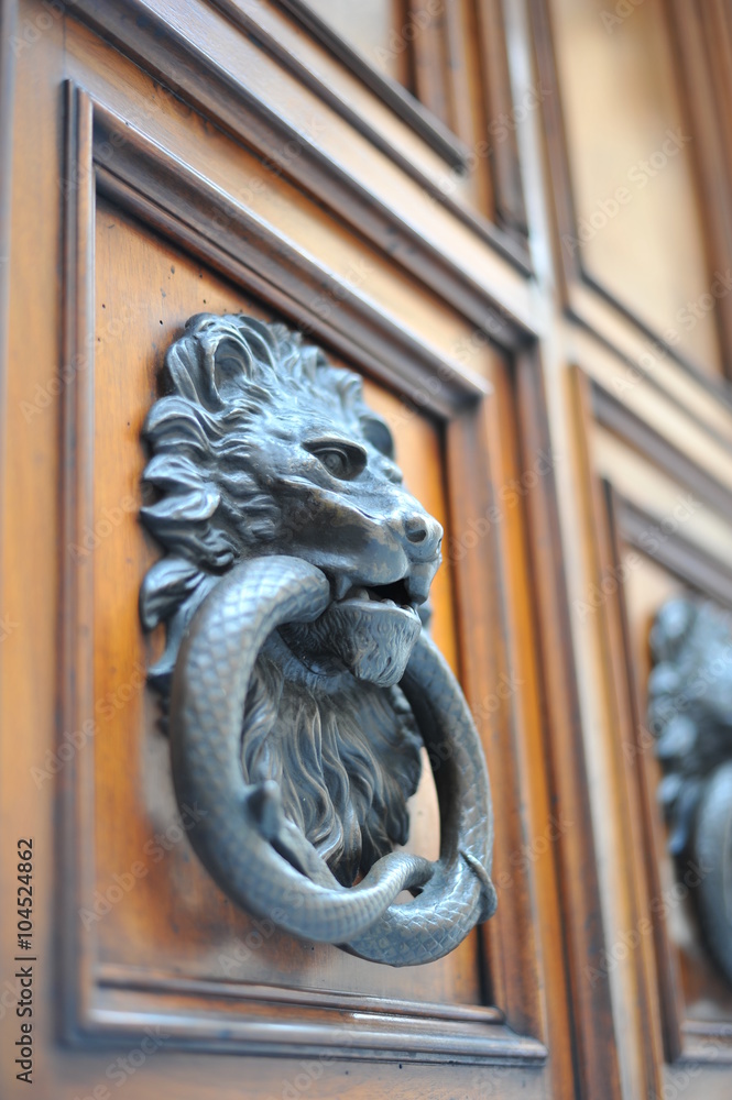 drop forged brass vintage door knocker in the form of a lion's head
