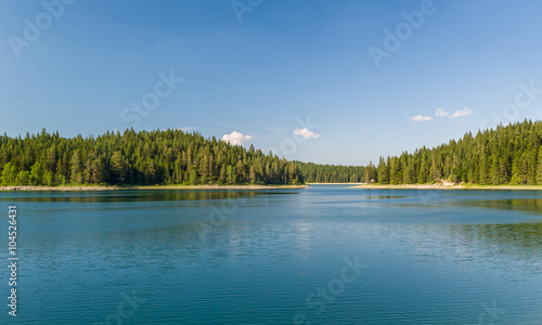 Beautiful lake with islands covered by thick coniferous forests
