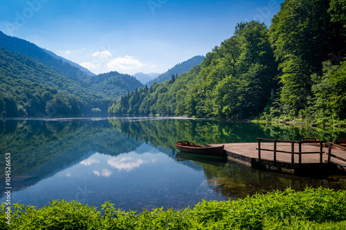 Biogradska gora national park landscape