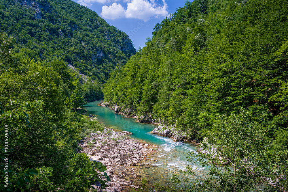 Canyon of mountain river Tara.