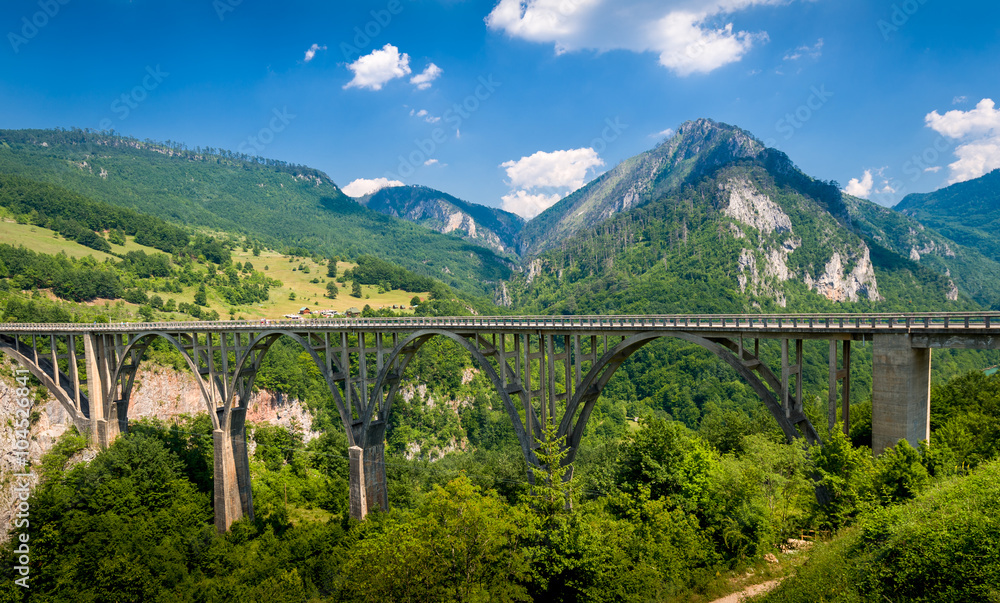 Djurdjevic Bridge over the Tara River Canyon Djurdjevic Bridge over the Tara River Canyon