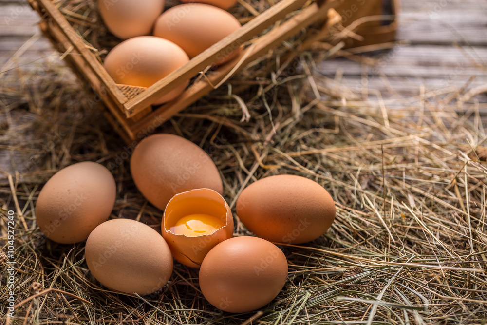 Fresh farm eggs Fresh farm eggs