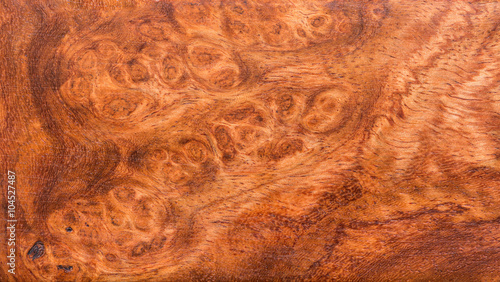 background and texture of Macro Ormosia wood