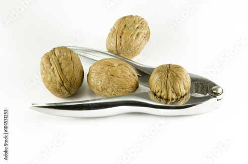 Walnut photo