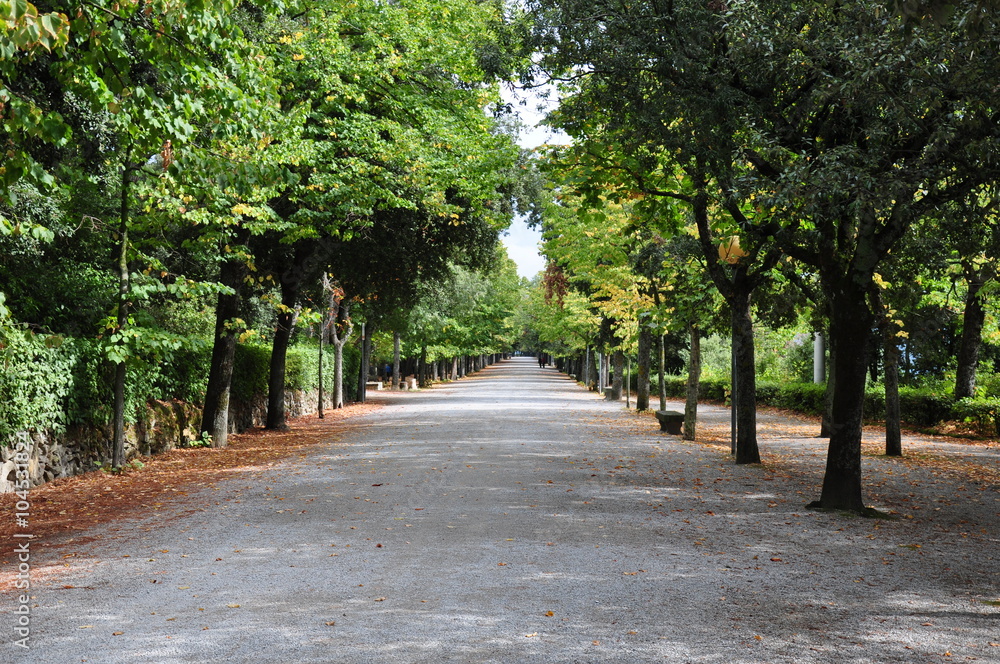 Naklejka premium park