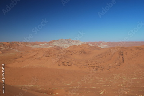 Panoramic desert view of sand dunes