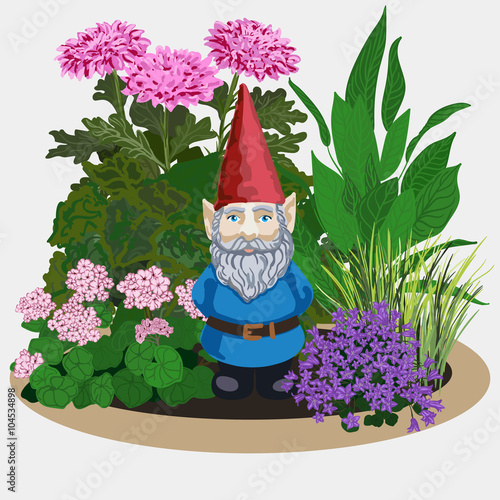 Garden gnome at plants photo