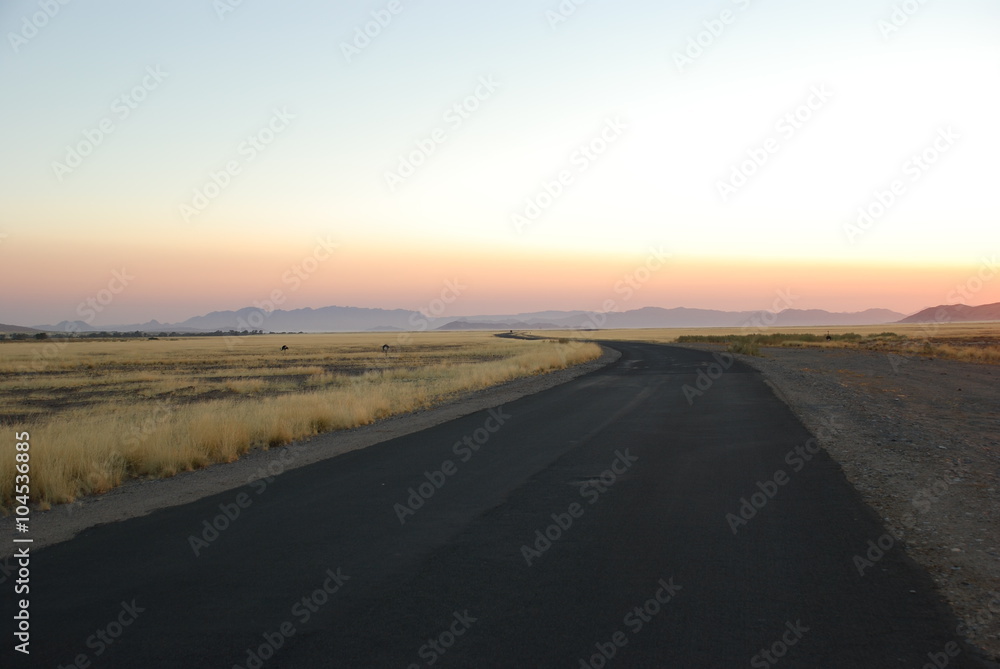 Morning view of road and savanna in Namibia dark blue sky