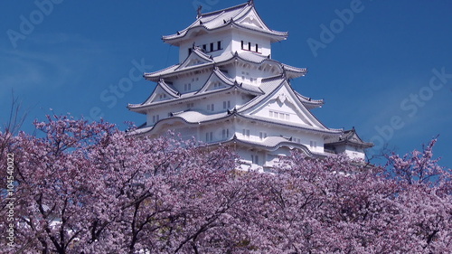 桜咲く姫路城　日本で最も美しい城