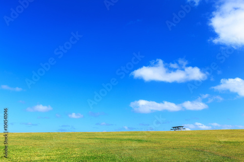 Beautiful landscape  clean blue sky