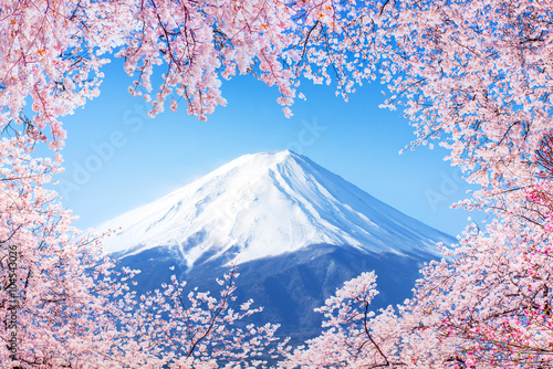 Fujiyama in Japan zur Kirschblüte