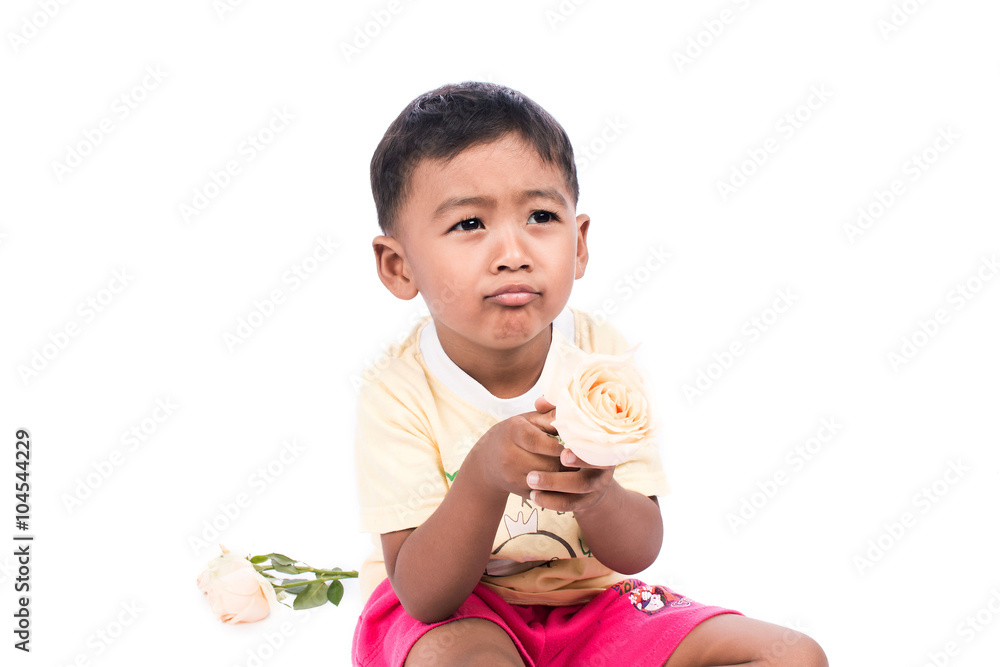 portrait of cute little boy with white rose portrait of cute little boy with white rose