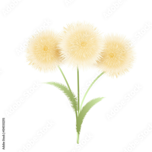  yellow flowers with leaves on a white background. Vector illust
