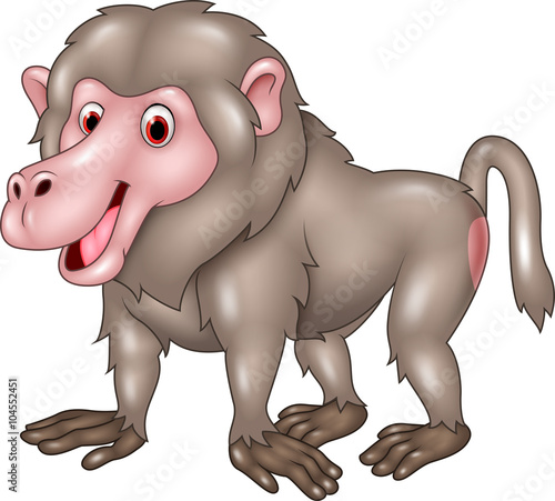 Cartoon funny baboon isolated on white bacjground