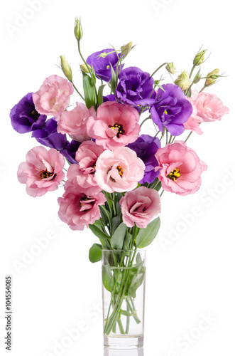 bunch of violet and pink eustoma flowers in glass vase isolated