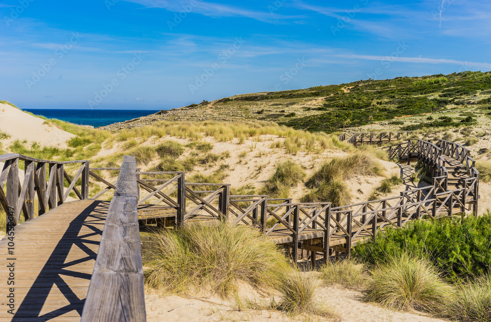 Anblick Düne Landschaft Natur Holz Brücke Steg