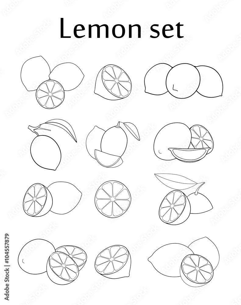 Set of line drawing lemons Set of line drawing lemons