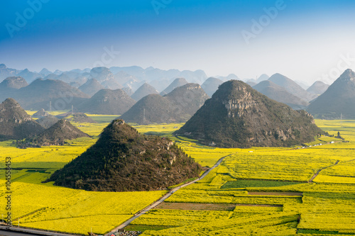 Photography Yellow rapeseed flower field in Luoping, China