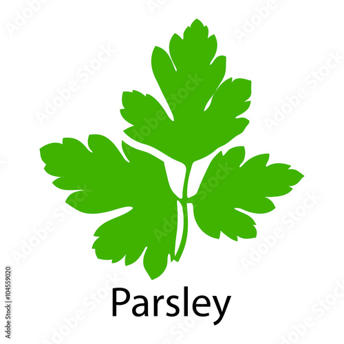 Parsley icon