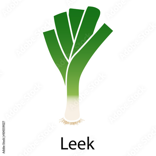Leek onion icon