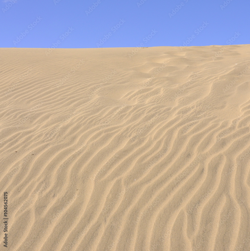 Ripples in the sand in a desert 