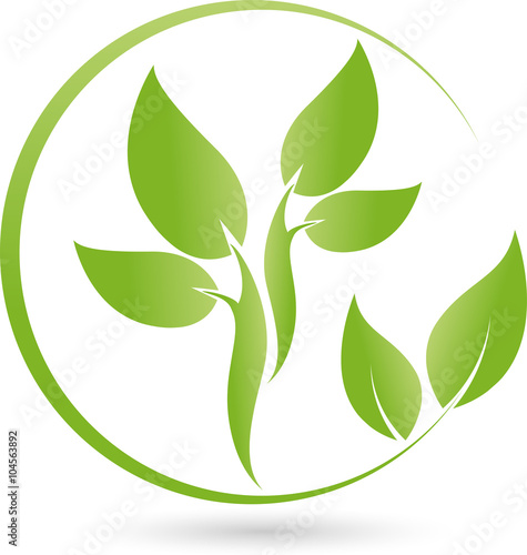 Pflanze, Blätter Logo, Bio, Heilpraktiker