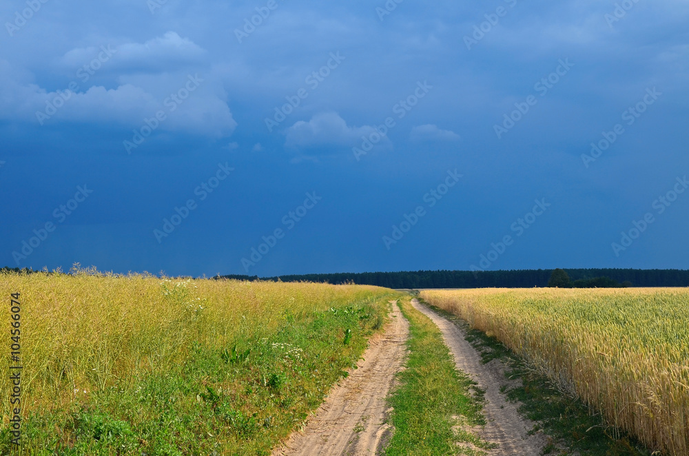 Storm clouds over the field