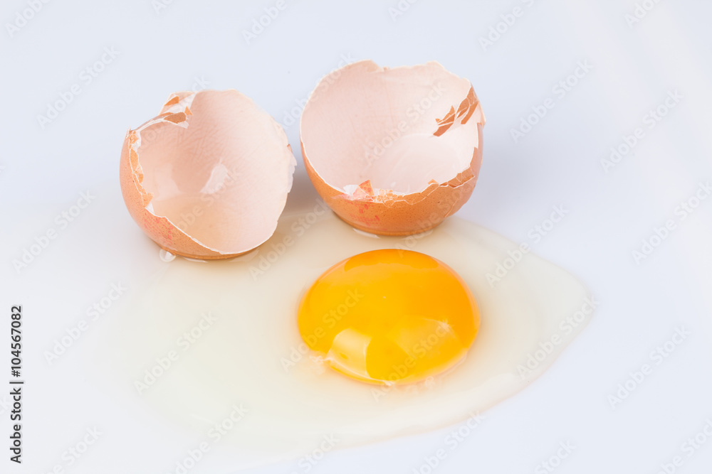 chicken egg isolated on a white background chicken egg isolated on a white background