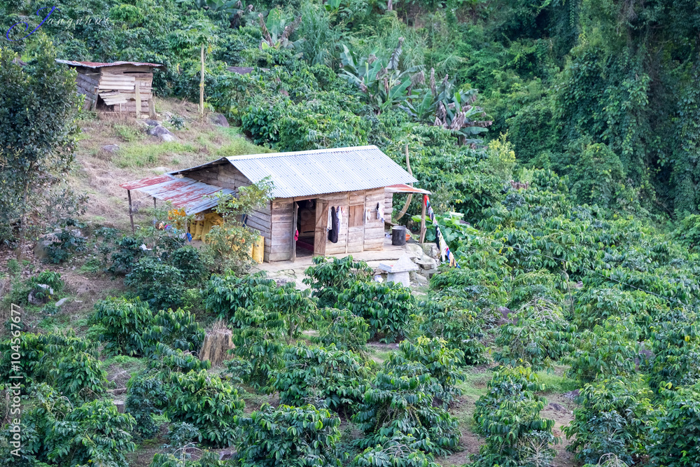 House made of wood in a country. VIENTIANE, LAO November 10 2015 House made of wood in a country. VIENTIANE, LAO November 10 2015