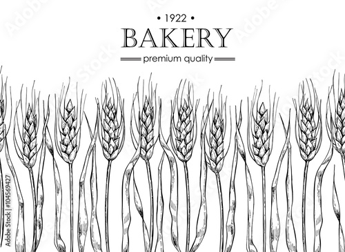Vector vintage bread and bakery illustration. Hand drawn banner.