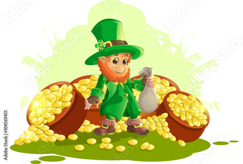beautiful leprechaun on white background
