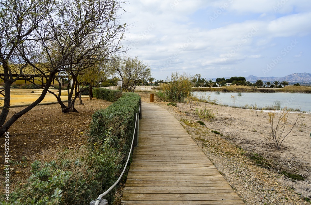 Fototapeta premium Wooden walkway in Spain