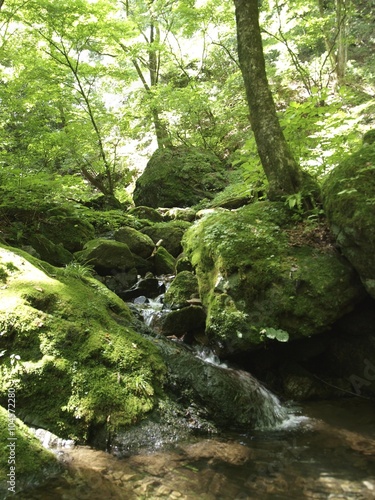 Mount mitake rock garden/Tokyo,Japan