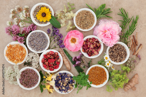 Healing Flowers and Herbs