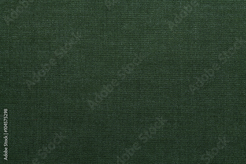 Green textile texture