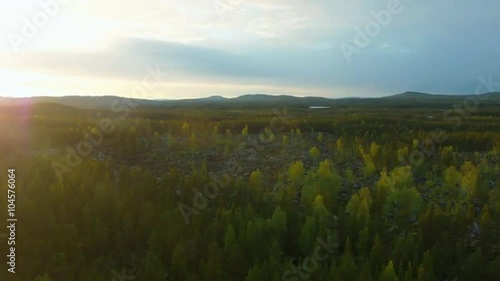 Aerial shot of forest at sunset