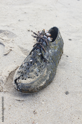 old shoe with shell on beach  