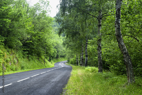 Road of Pirineos (Catalunya, Spain) © Claudio Colombo