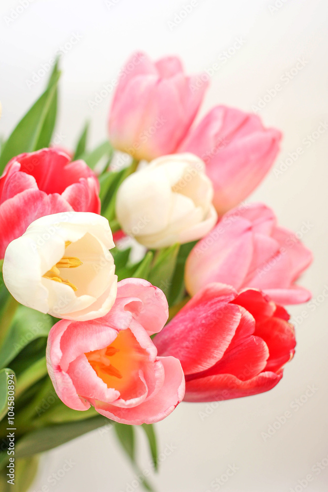 Bouquet of tulips Bouquet of tulips