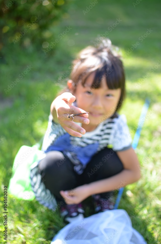 昆虫採集をする女の子 昆虫採集をする女の子