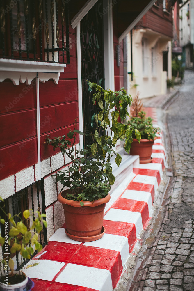 Naklejka premium pots with plants in a wooden house on a cloudy day in Istanbul